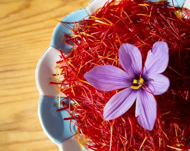 راهنمای خرید زعفران از سحرخیز، بهترین کیفیت