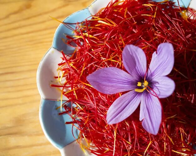راهنمای خرید زعفران از سحرخیز، بهترین کیفیت