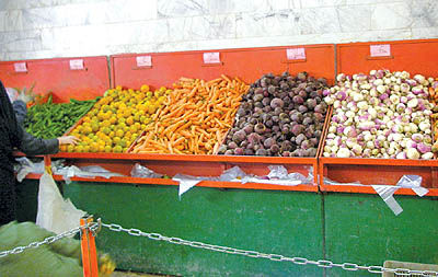 بایدها و نباید‌ها در صادرات و واردات میوه