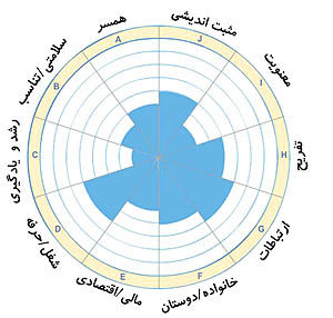 چرخ زندگی ابزار ایجاد تعادل در زندگی