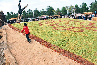 ظرفیت بالا برای صادرات انگور