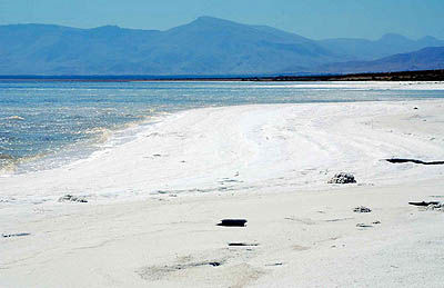 دریاچه ارومیه 7 سال دیگر محو می‌شود