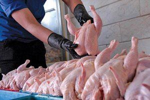 افزایش گرایش به خرید مرغ و گوشت بسته بندی شده