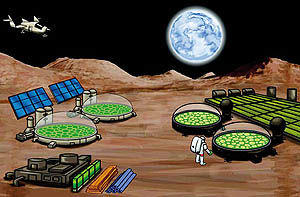 تامین غذا و سوخت در مریخ