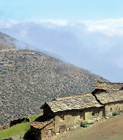 گلیران گل ایران - ۱۸ آبان ۹۱