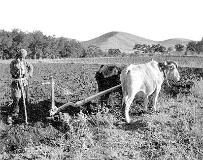 تدوین قانون کار کشاورزان