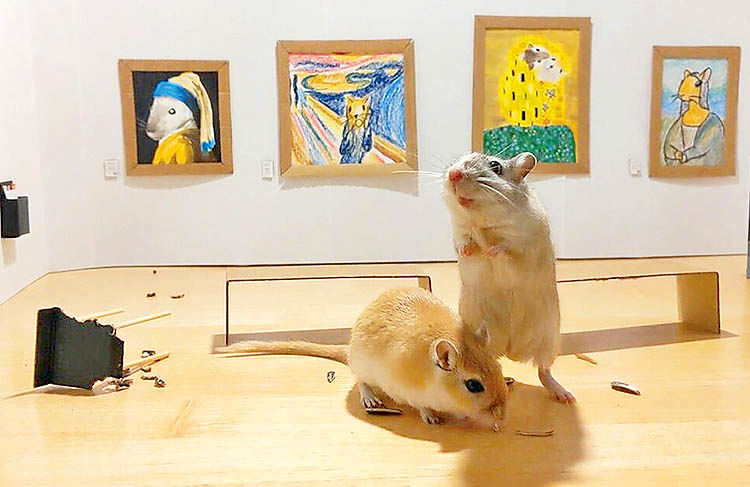 ایجاد گالری نقاشی برای موش‌های خانگی