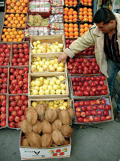 حمایت قانونی از واردات میوه!