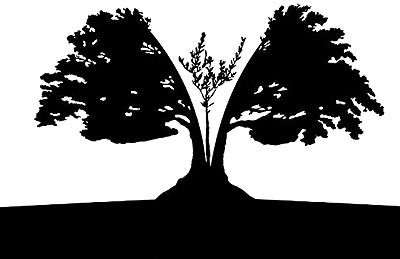 تحلیل اصل 44 قانون اساسی براساس مکتب اقتصادی اتریشی