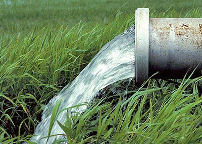 چالش آب کشاورزی در خوزستان