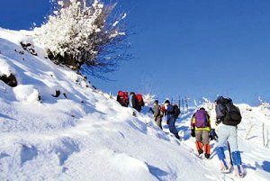 کفش هوشمند نانو ساخته شد