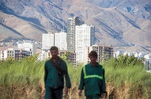 تهران را «درخت و سبزه» فرامی‌گیرد
