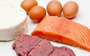 مسیر متضاد قیمت‌ها در مواد پروتئینی