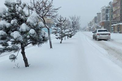 زمستان برگشت/ بارش باران و برف در ۲۲ استان 