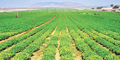 افتتاح 56 طرح کشاورزی در همدان