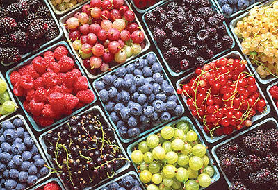 رتبه سوم صادرات در سبد میوه