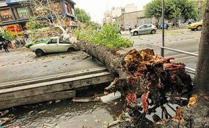 چهار کشته و 27 زخمی در اثر توفان تهران