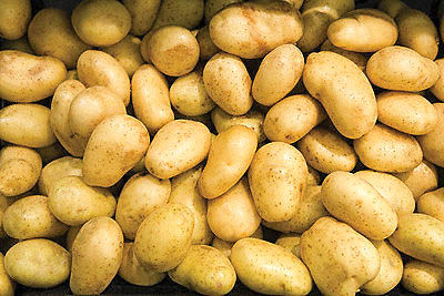 رشد 8270 درصدی صادرات سیب‌زمینی از همدان!