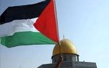 خیابان‌های غزه بعد از توافق اسرائیل و حماس/ شادی فلسطینیان+ فیلم