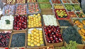 صادرات میوه به روسیه در دستور کار