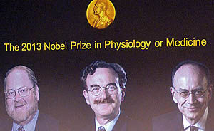 جایزه نوبل پزشکی ۲۰۱۳ به سه پژوهشگر آمریکایی و آلمانی رسید