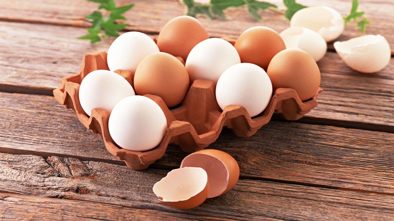 تولید تخم مرغ ۲۰ درصد کاهش یافت