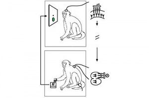 پروتزی برای کنترل میمون‌ها