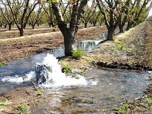 فوریت اجرای روش‌های پیشرفته آبیاری  در بخش کشاورزی
