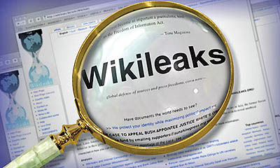 ویکی‌لیکس دومین واژه اینترنتی پرطرفدار در 2010