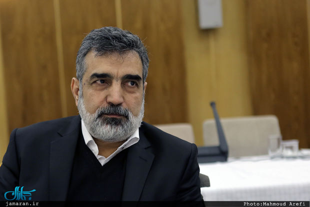 خبر کمالوندی از توافق جدید با آژانس بین‌الملل انرژی اتمی/ 10 دوربین آژانس در اصفهان فعال شده