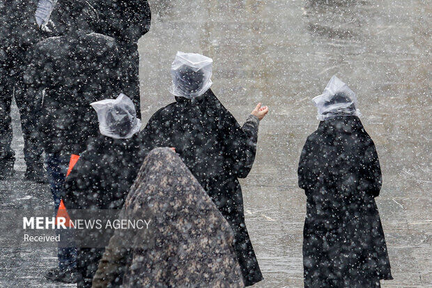 حرم مطهر امام رضا(ع) سفیدپوش شد+ تصاویر