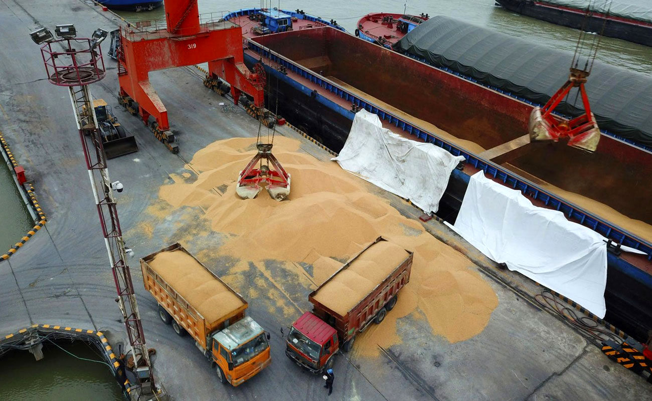 ضوابط جدید واردات نهاده‌های دامی اعلام شد
