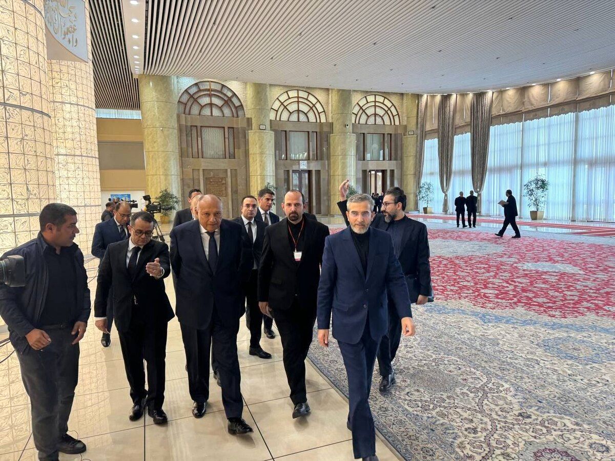 دیدار و گفتگوی وزیر خارجه مصر و باقری در تهران