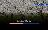 سفر به روستایی چهار فصل