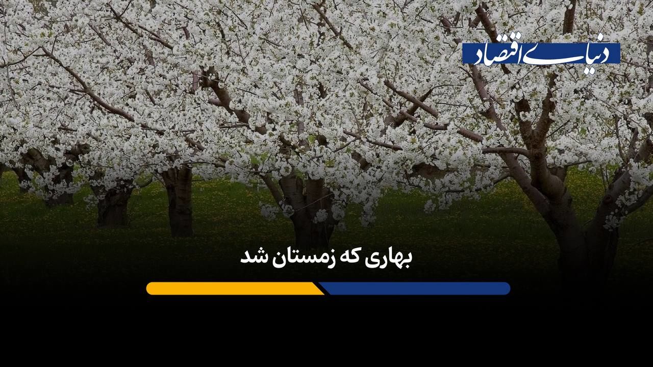 سفر به روستایی چهار فصل