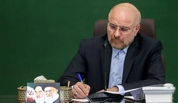 ابلاغ قانون الزام دولت به تعلیق همکاری با آژانس
