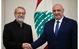 برای ما وحدت لبنان مهم است؛ ایران قدرت خود را مدیون همبستگی ملی خود است