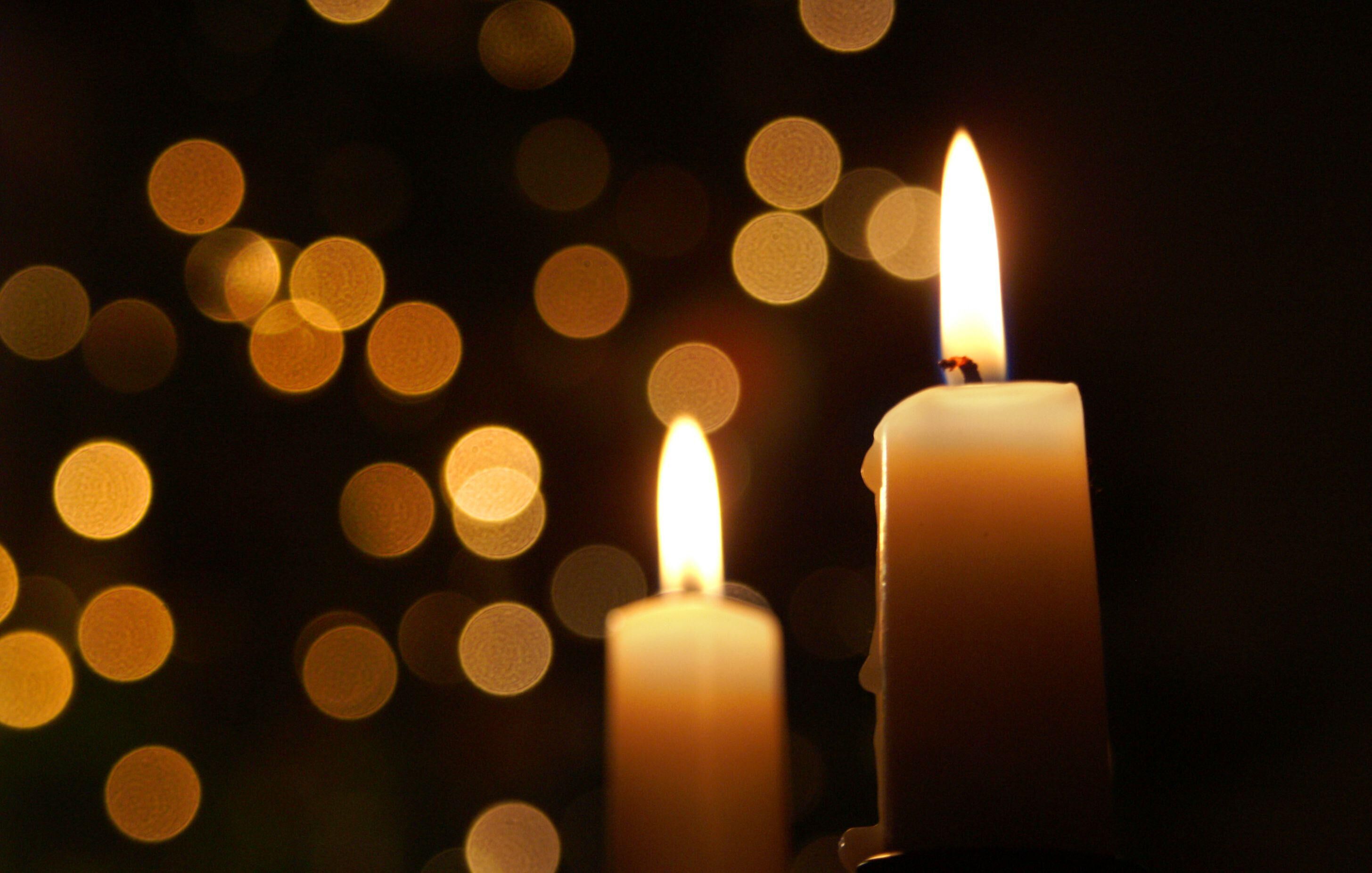 محل خاکسپاری پیکر محمود حکیمی 