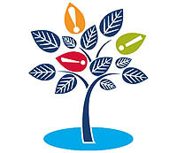 سرمایه‌گذاری ماندگار در برکشیدن شرکای نوآوری