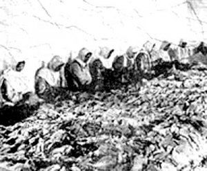 مهم‌ترین کشت صنعتی ایران در سده نوزدهم