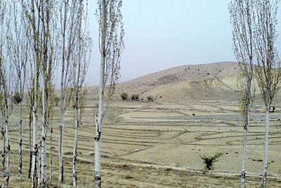خشکسالی در مازندران ادامه دارد