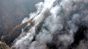 حریق در جان هیرکانی‌های چالوس