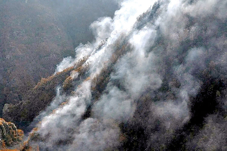 حریق در جان هیرکانی‌های چالوس