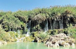 عکس هفته: آبشار فدامی داراب فارس