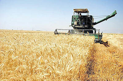 اجرای «قیمت تضمینی» در بورس کالا؛ طرحی ملی و به سود کشاورزان