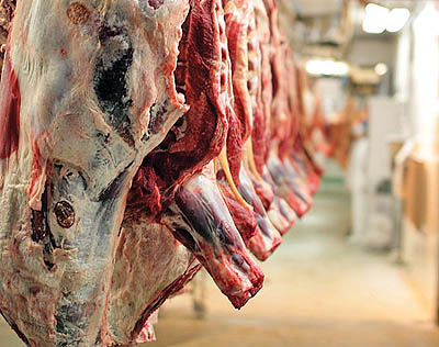 تصمیمات جدید برای افزایش تولید گوشت قرمز