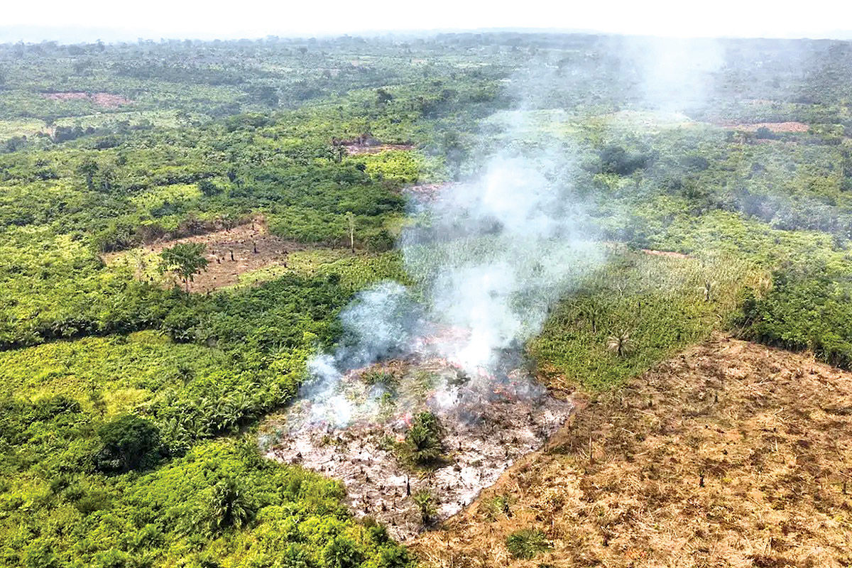 چرخش اقلیمی در قلب آفریقا