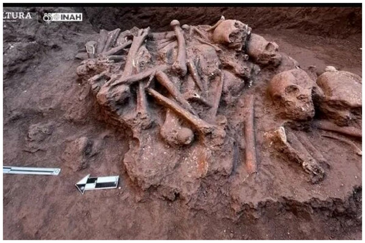 کشف یک گور باستانی به همراه استخوان‌های روی هم انباشته شده+عکس