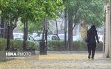 بارندگی در راه این مناطق کشور/ هشدار صادر شد