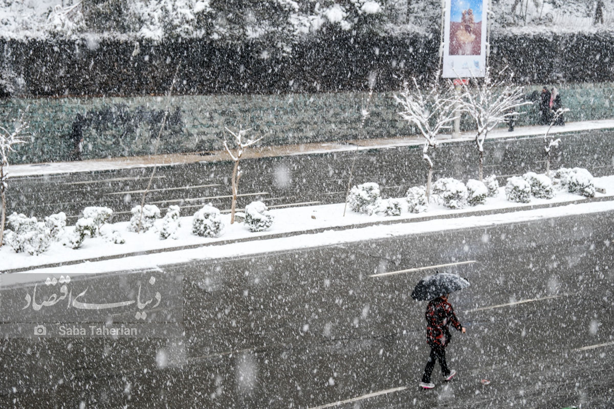 بارش برف در تهران + فیلم